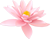 莲台公告