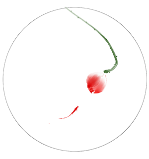 cf3dac7e23fb81d6f4d50a8a6f8abaad.png