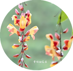 微信图片_2025-08-29_215833_516.png