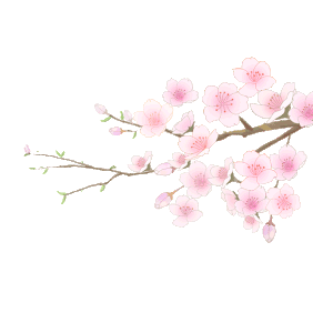 971c851a0100ac650dd3fe8c7bcd3fa319ff40b2461b8-2vQw0I_fw1200.gif
